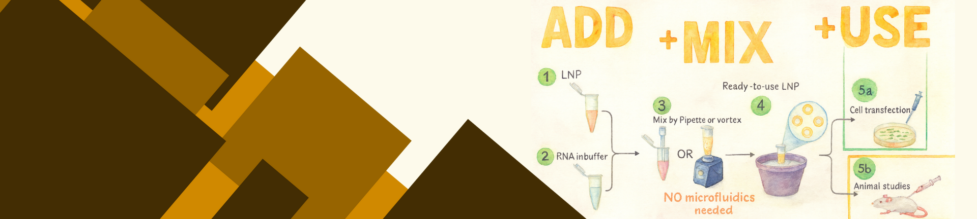 Banner Slider Background