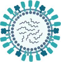 Lentivirus Control Particles