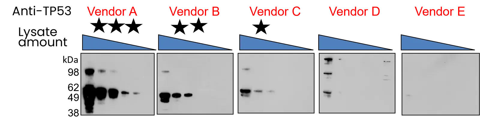 Western Blot Marker Chart
