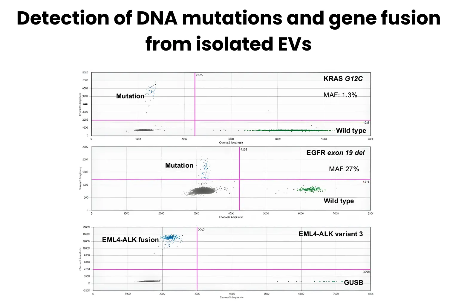 Table of KRAS and EGFR oncogenic mutations from EV-derived DNA