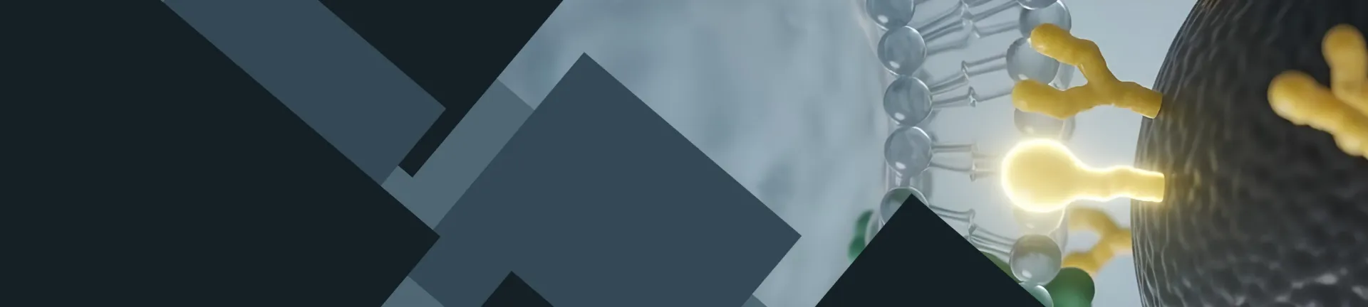 Banner Slider Background