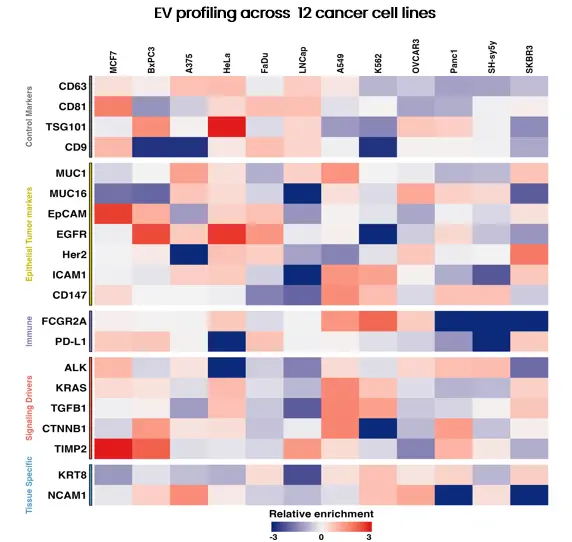Ev Profiling Across 12 Cancer Cell Lines Hero Image