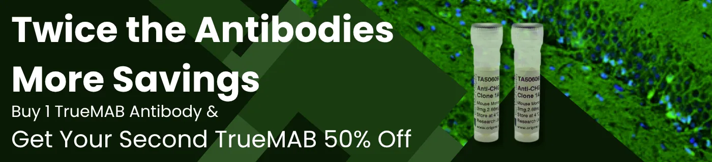 Twice the Antibodies, More Savings - Buy 1 TrueMAB Antibody and Get Your Second TrueMAB 50% Off