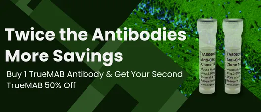Buy one TrueMAB antibody, get the second 50% off