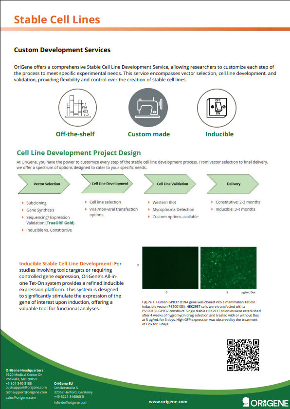 Stable Cell Lines