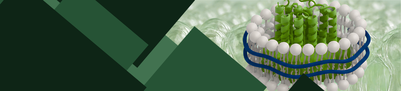 Banner Slider Background