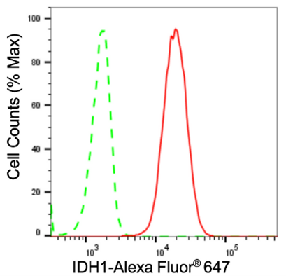 Flow cytometric analysis of IDH1 expression in C2C12 cell using anti-IDH1 antibody. Green: isotype control; red: IDH1