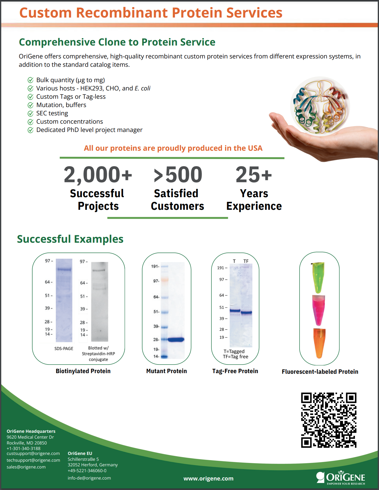 Custom Protein Service Product Sheet
