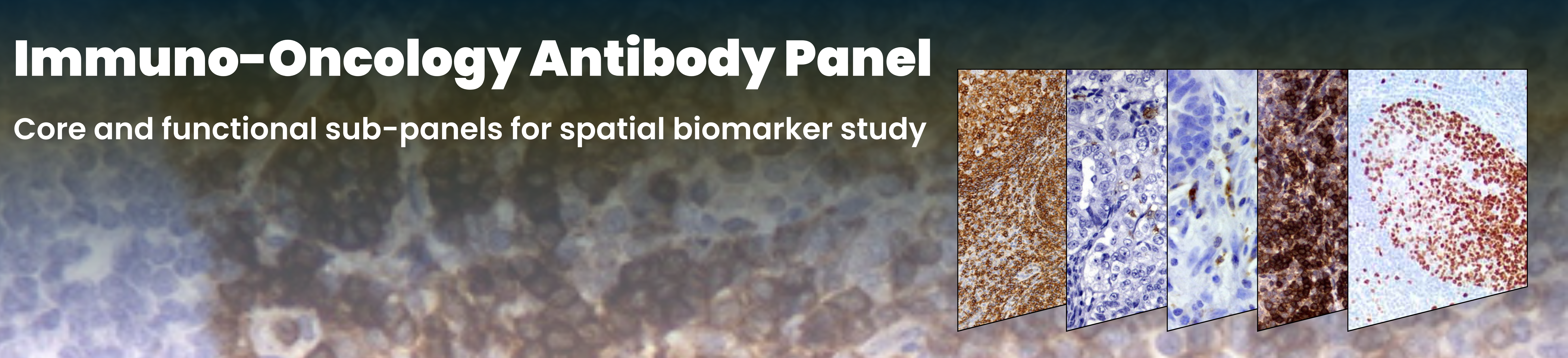 io-panel-banner