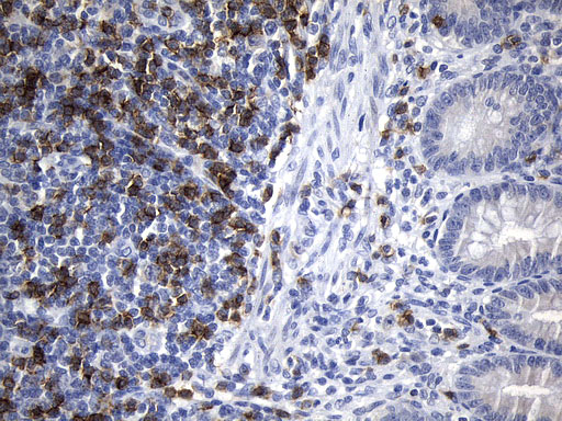 um800133-cd8a