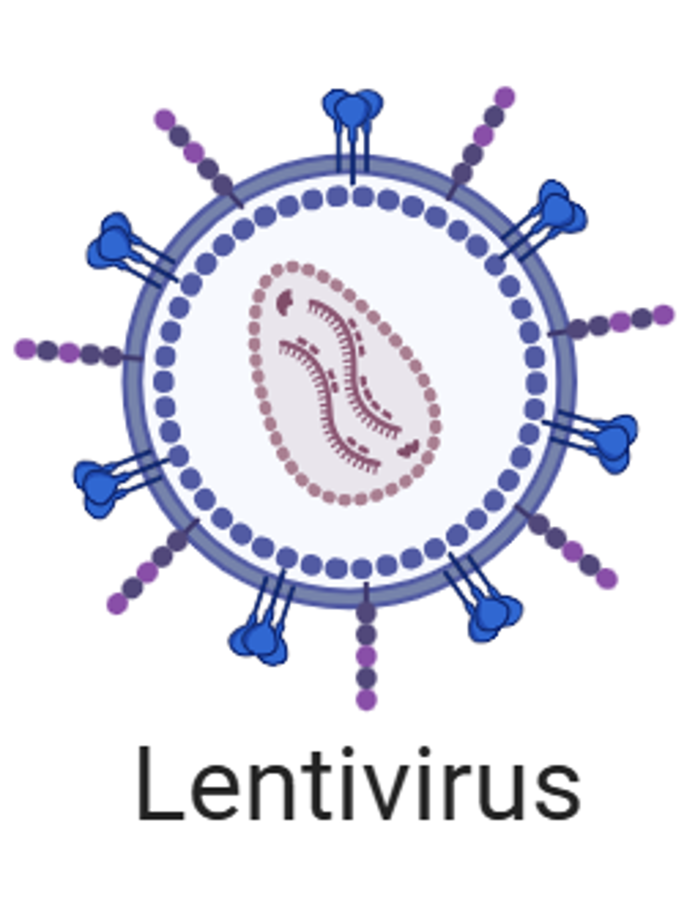 Lentivirus Products/Services