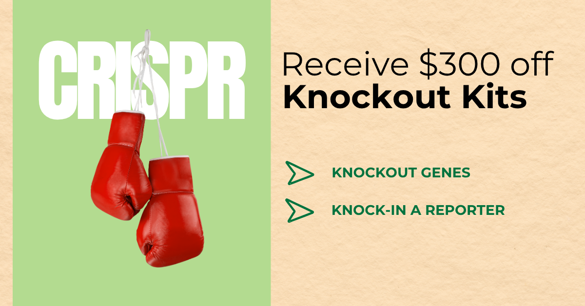 Knockout Kit promo Small Banner