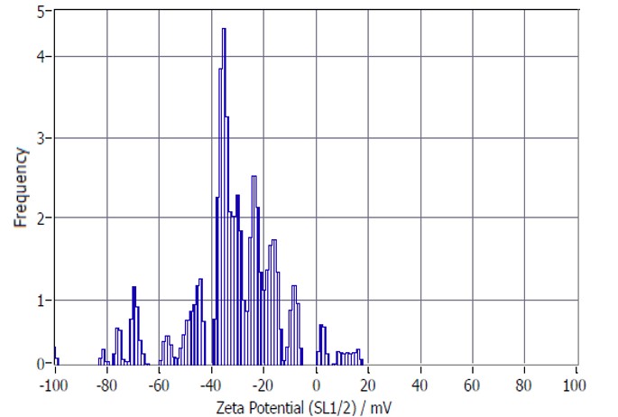 EV Stability and Surface Charge