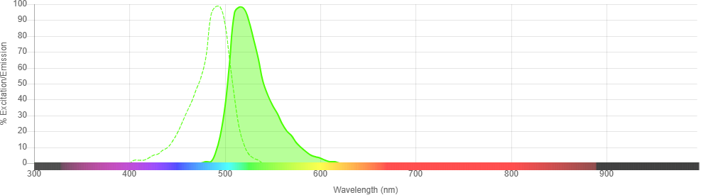 DyLight 488 Spectra Image