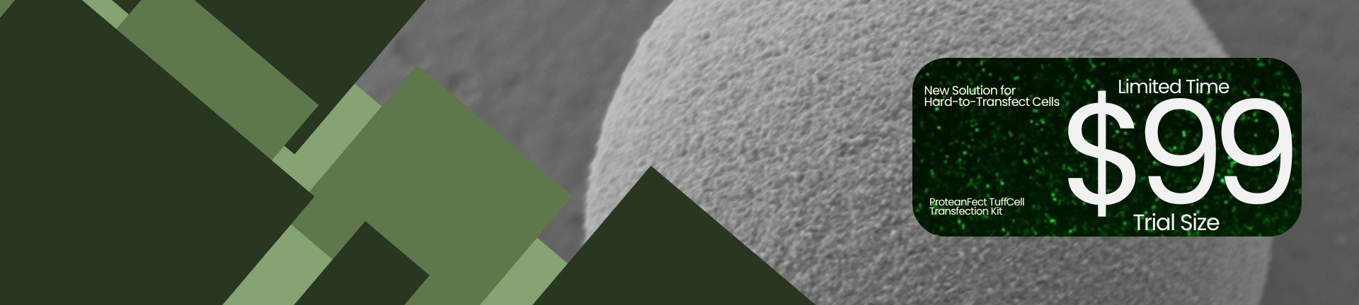 Banner Slider Background