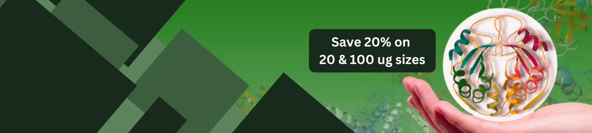 Banner Slider Background