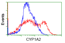 HEK293T cells were transfected with the pCMV6-ENTRY control (Cat# PS100001, Left lane) or pCMV6-ENTRY RALBP1 (Cat# RC201524, Right lane) cDNA for 48 hrs and lysed. Equivalent amounts of cell lysates (5 ug per lane) were separated by SDS-PAGE and immunoblotted with anti-RALBP1(Cat# TA500964). Positive lysates [LY402031] (100 ug) and [LC402031] (20 ug) can be purchased separately from OriGene.