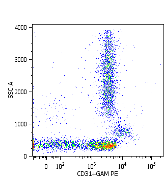 Surface staining of lysed and wash human peripheral blood with purified anti-human CD31 (MEM-05) (detection by Goat anti-mouse IgG1 PE).