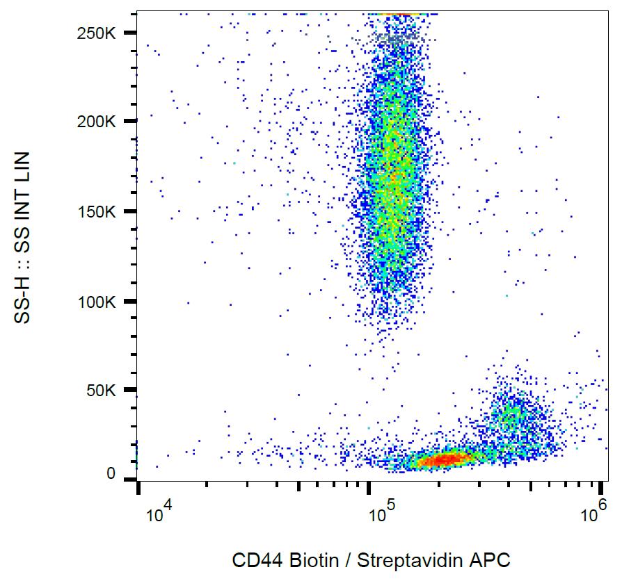 Surface staining of human peripheral blood leukocytes with anti-human CD44 (MEM-85) biotin.