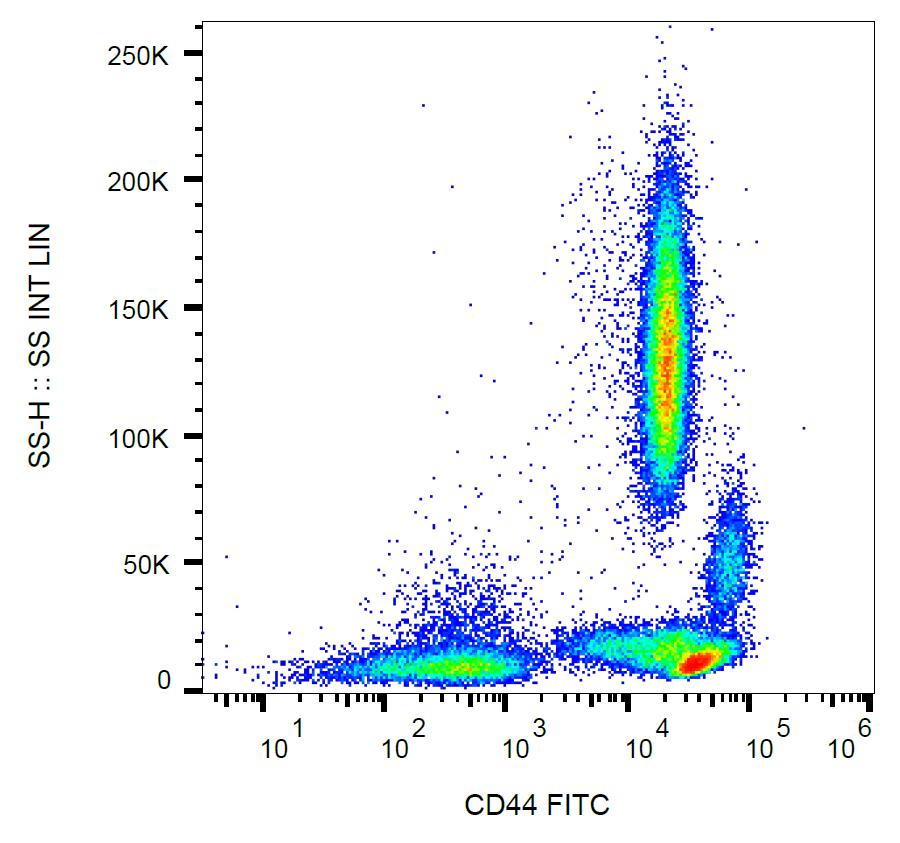 Surface staining of human peripheral blood with anti-human CD44 (MEM-85) FITC.