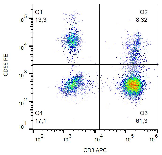 Surface staining of human peripheral blood lymphocytes with anti-CD56 (MEM-188) PE.