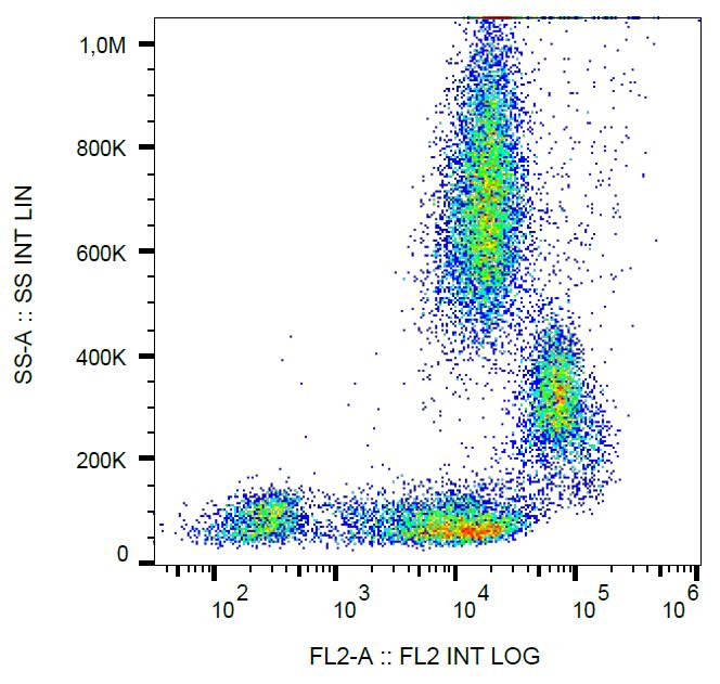 Surface staining of human peripheral blood with anti-human CD31 (MEM-05) PE.