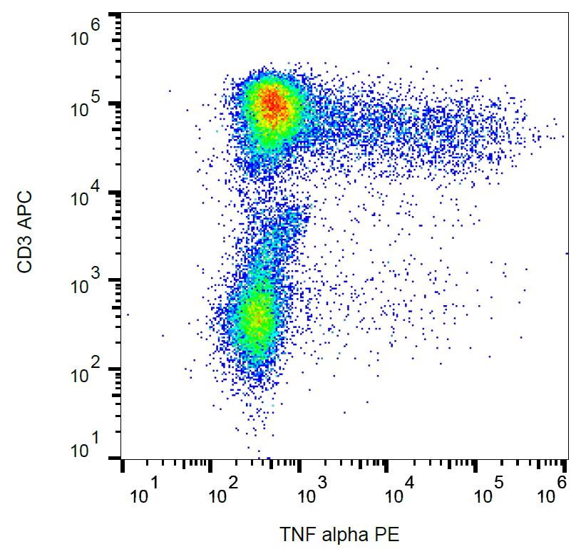 Dot blot analysis of anti-Phospho-NOMO1 pSer1205 Antibody (Cat.#AP12975PU-N) on nitrocellulose membrane. 50ng of Phospho-peptide or Non Phospho-peptide per dot were adsorbed. Antibody working concentrations are 0.5ug per ml.