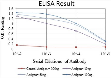 Red: Control Antigen (100ng) Purple: Antigen (10ng) Green: Antigen (50ng) Blue: Antigen (100ng)