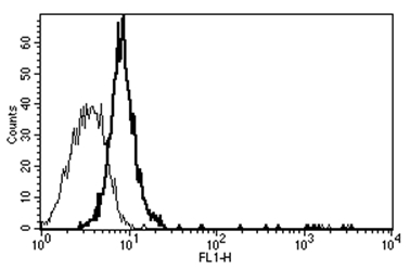 A typical Flow Cytometry staining pattern of Eahy 926 cell line using clone B-P4.