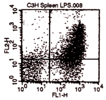 Cell Type: Spleen