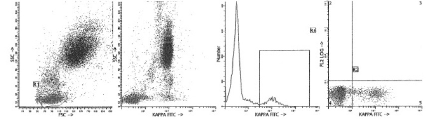 Representative Data The reactivity of anti-kappa is illustrated by flow cytometry analysis of normal human peripheral blood cells. The cytograms show direct staining of 100 l whole blood with 10 l of anti-kappa FITC.