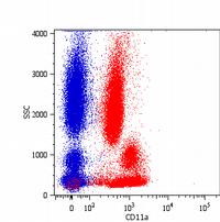 Surface staining of human peripheral blood cells with anti-human CD11a (MEM-25) PE.