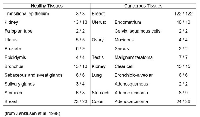 Table 1. b-12 Reaction Pattern on Human Tissues.