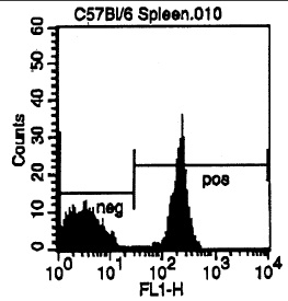 Cell Source: CD3e Positive Spleen Cells Percentage of cells stained above control: 52.4%