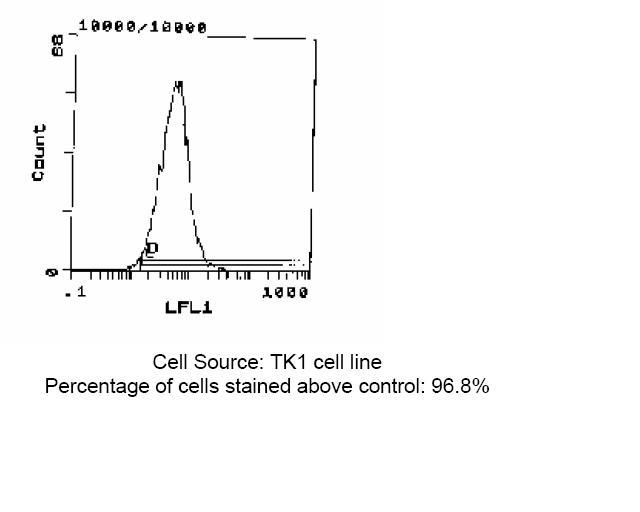 Western blot analysis of extracts of HeLa cell line and H3 protein expressed in E.coli., using H3K9me3 antibody.