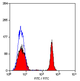 Western Blot: Beclin 1 Antibody [TA336561] - Beclin 1 antibody image from verified customer review.