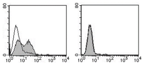 Flow Cytometric analysis of Mouse Integrin alpha-7 expression on NIH/3T3 (Left) and C2C12 (Right). Open Histogram indicates the reaction of Isotypic Control to the cells. Shaded Histograms indicate the reaction of ITGA7 antibody to the cells.