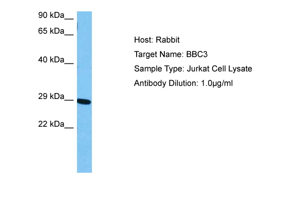 Detection limit for recombinant GST tagged NPR2 is 3 ng/ml as a capture antibody.