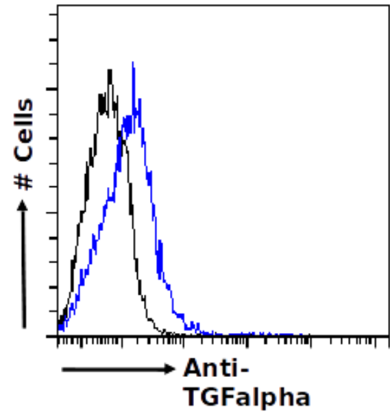 Flow-cytometry using the anti-TGF-alpha antibody tAb2 (TA386017) Human peripheral blood leukocytes were fixed using 2% PFA, permeabilised using 0.5% Triton and stained with unimmunized rabbit IgG antibody (MOPC-21; isotype control, black line) or the rabbit IgG-chimeric version of tAb2 (TA386017, blue line) at a dilution of 1:100 for 1h at RT. After washing, bound antibody was detected using a goat anti-rabbit IgG AlexaFluor® 488 antibody at a dilution of 1:1000 and cells analyzed using a FACSCanto flow-cytometer.