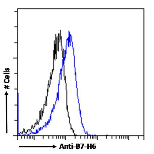 Flow cytometry using the Anti-B7-H6 antibody 17B1.3 (TA386389). Paraformaldehyde fixed HeLa cells were stained with anti-unknown specificity antibody (TA385792; isotype control, black line) or the rabbit IgG version of 17B1.3 (TA386389, blue line) at a dilution of 1:100 for 1h at RT. After washing, the bound antibody was detected using a goat anti-rabbit IgG AlexaFluor® 488 antibody at a dilution of 1:1000 and cells analyzed using a FACSCanto flow-cytometer.