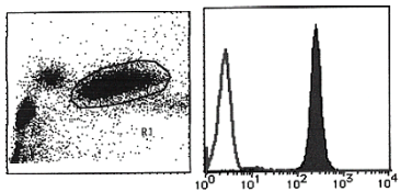 Flow cytometric analysis of human GPI-80 expression on human granulocyte. Open histogram indicates the reaction of isotypic control to the cells. Shaded histogram indicates the reaction of AM26453AF-N to the cells.