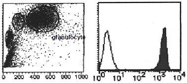 Flow cytometric analysis of Human GPI-80 expression on Granulocyte. Open histogram indicates the reaction of isotypic control to the cells. Shaded histogram indicates the reaction of AM26453RP-N to the cells.
