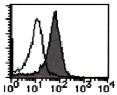 Flow cytometric analysis of CD112 expression on KG-1. Open histogram indicates the reaction of isotypic control to the cells. Shaded histogram indicates the reaction of AM26505AF-N to the cells.