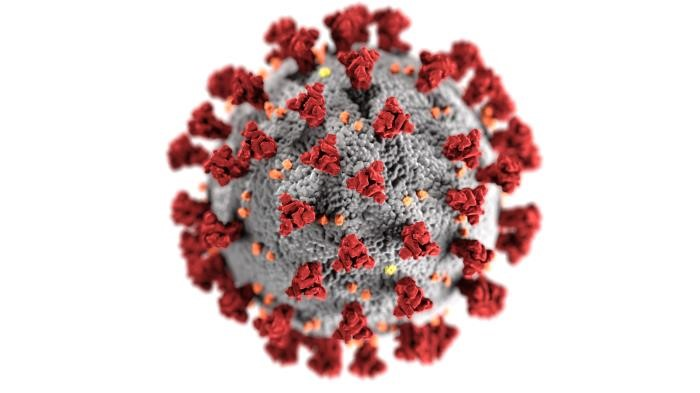 Image 1: Coronavirus with Spike Image