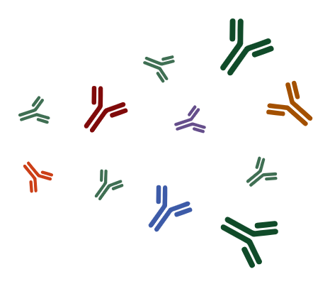 Vast Antibody Collection