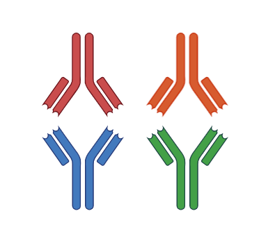 Validated Antibody Pairs