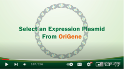 Expression Plasmids selection from OriGene