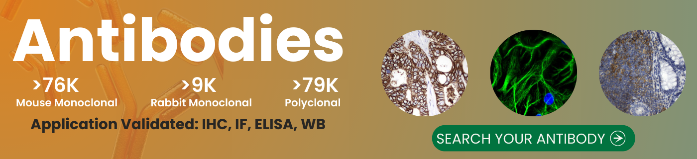 Antibodies Homepage Banner