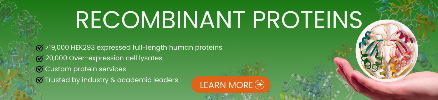 Recombinant Proteins Homepage Banner