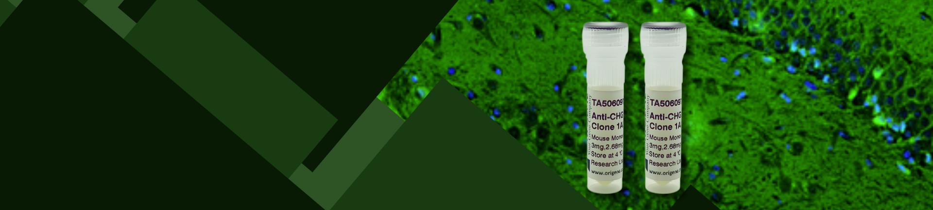 Twice the Antibodies
More Savings